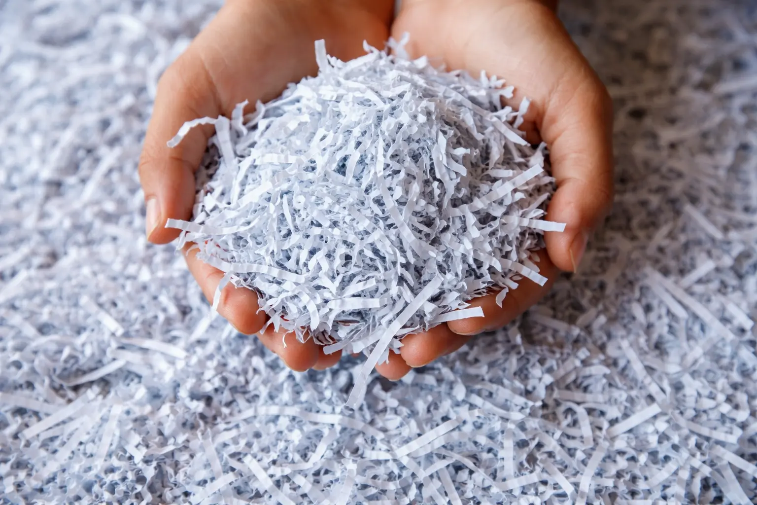 Shredding services